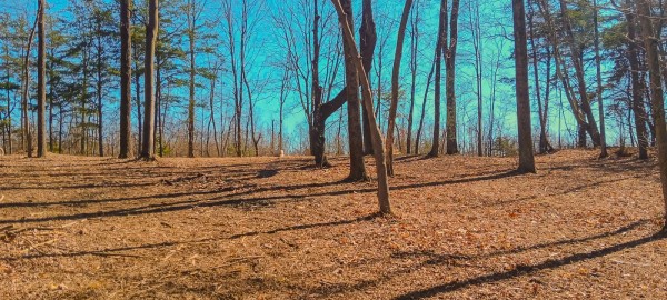 Tract 2 at Turkey Run property photo