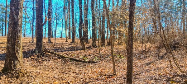Tract 2 at Turkey Run property photo