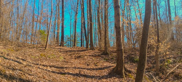 Tract 2 at Turkey Run property photo