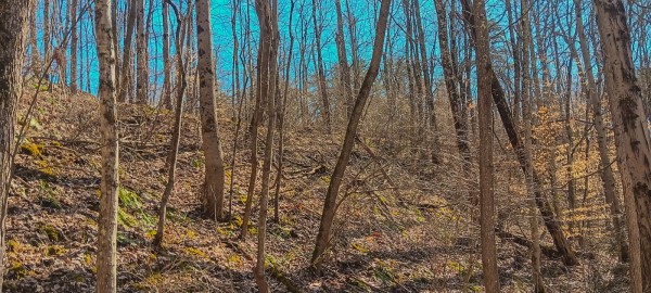 Tract 2 at Turkey Run property photo