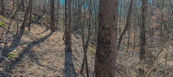 Tract 2 at Turkey Run property photo