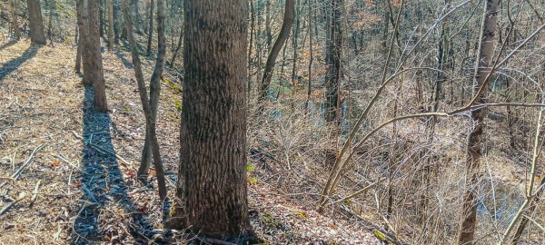 Tract 2 at Turkey Run property photo