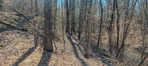 Tract 2 at Turkey Run property photo