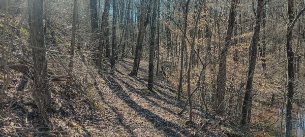 Tract 2 at Turkey Run property photo