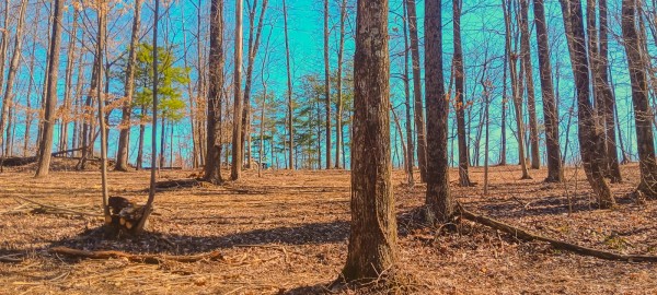 More of Tract 2 at Turkey Run