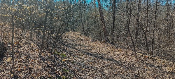 Tract 2 at Turkey Run property photo