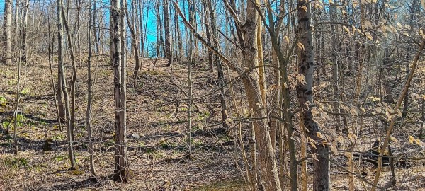 Tract 2 at Turkey Run property photo
