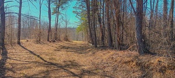Tract 2 at Turkey Run property photo