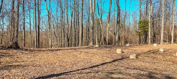 Tract 2 at Turkey Run property photo