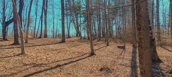 More of Tract 2 at Turkey Run