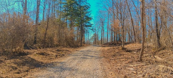 More of Tract 2 at Turkey Run