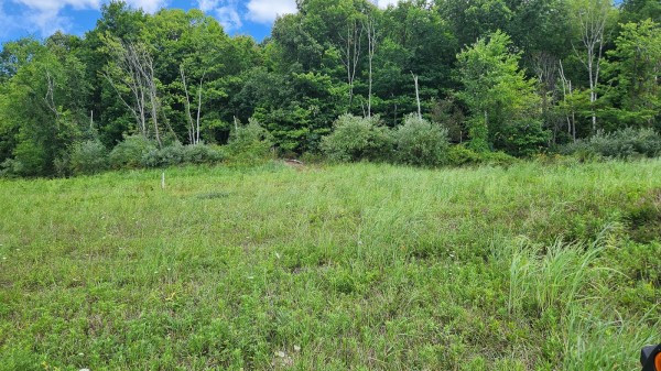 Tract 15 - Albany Woods property photo