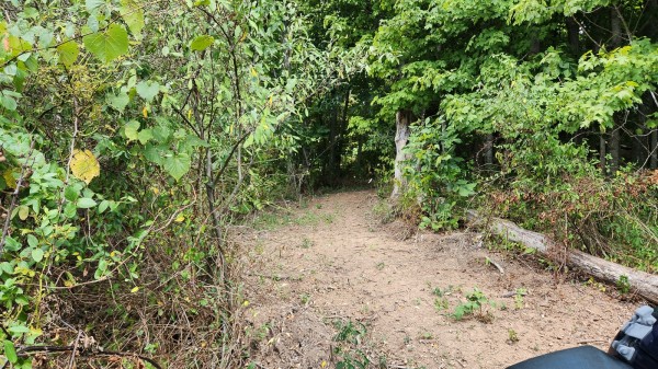 Tract 15 - Albany Woods property photo