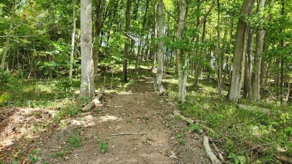 Tract 15 - Albany Woods property photo
