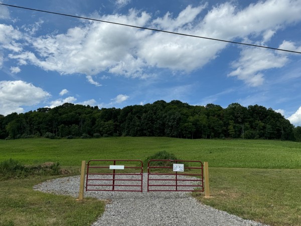 More of Tract 15 - Albany Woods