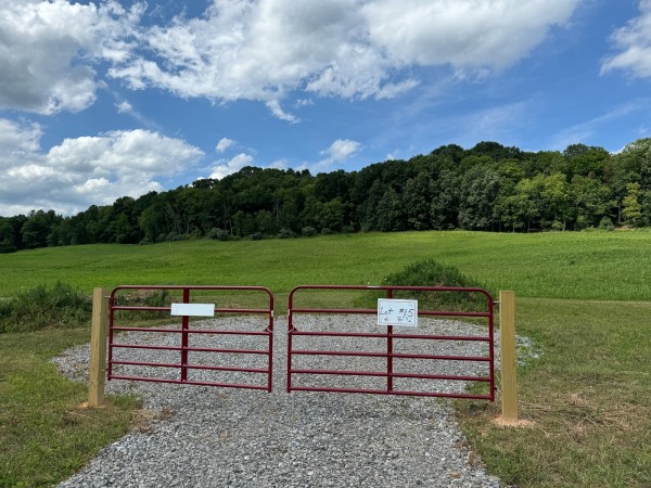 More of Tract 15 - Albany Woods