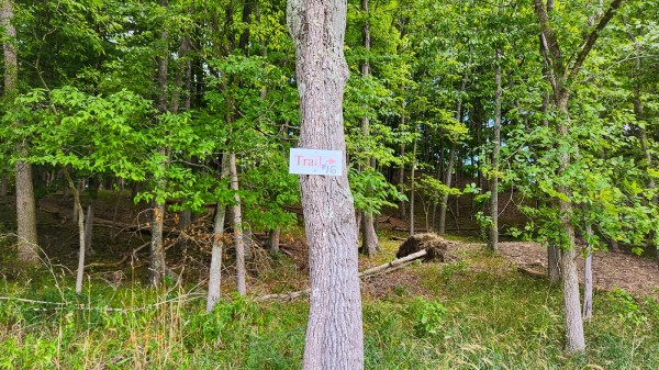 Tract 16 - Albany Woods property photo