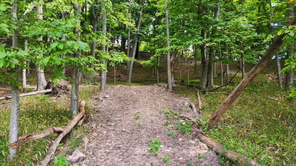 Tract 16 - Albany Woods property photo