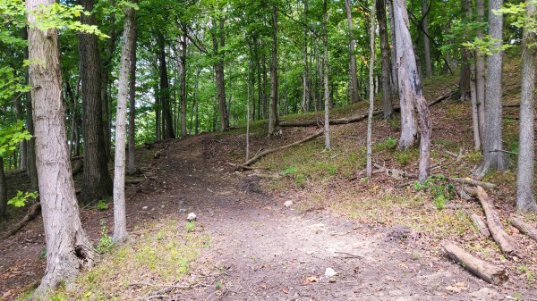 Tract 16 - Albany Woods property photo