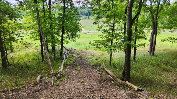 Tract 16 - Albany Woods property photo