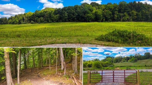 More of Tract 16 - Albany Woods