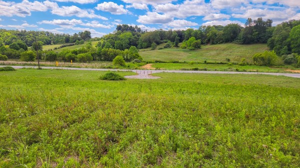 Tract 16 - Albany Woods property photo