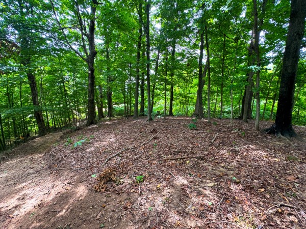 Tract 2 - Albany Woods property photo