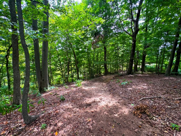 Tract 2 - Albany Woods property photo