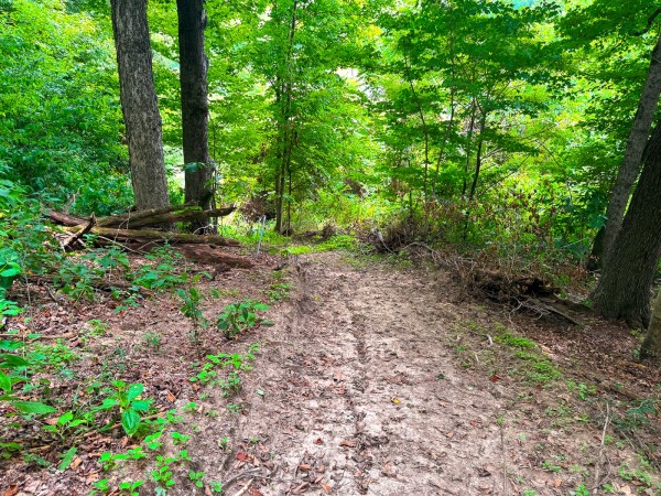 Tract 2 - Albany Woods property photo