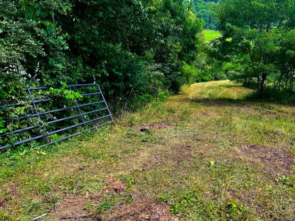 Tract 2 - Albany Woods property photo