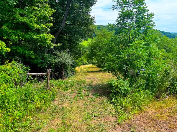 Tract 2 - Albany Woods property photo