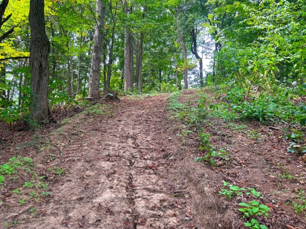 Tract 2 - Albany Woods property photo