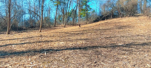 Tract 3 at Turkey Run property photo