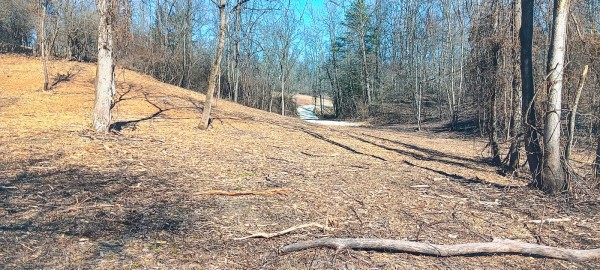 Tract 3 at Turkey Run property photo