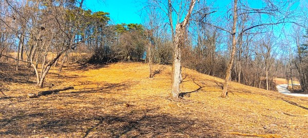 Tract 3 at Turkey Run property photo