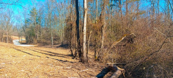 Tract 3 at Turkey Run property photo