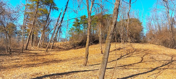 Tract 3 at Turkey Run property photo