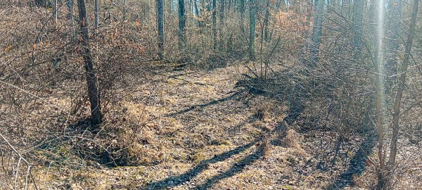 Tract 3 at Turkey Run property photo