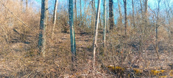 Tract 3 at Turkey Run property photo
