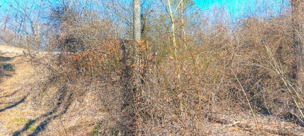 Tract 3 at Turkey Run property photo