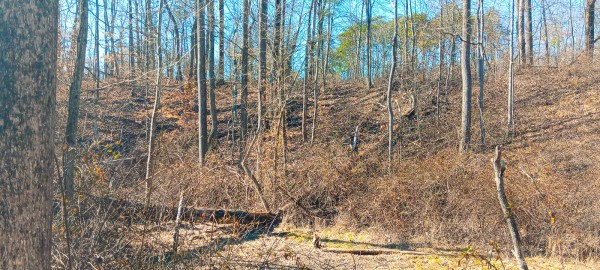 Tract 3 at Turkey Run property photo