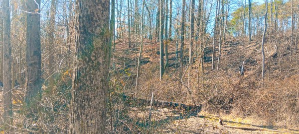 Tract 3 at Turkey Run property photo