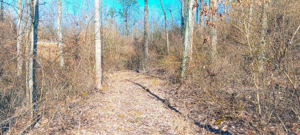 Tract 3 at Turkey Run property photo
