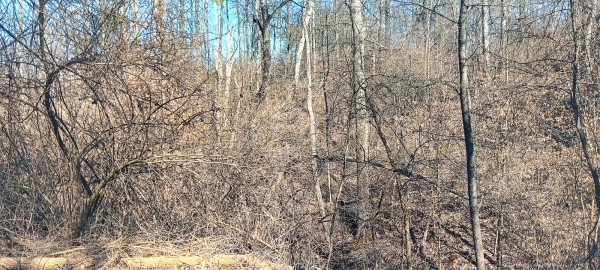 Tract 3 at Turkey Run property photo