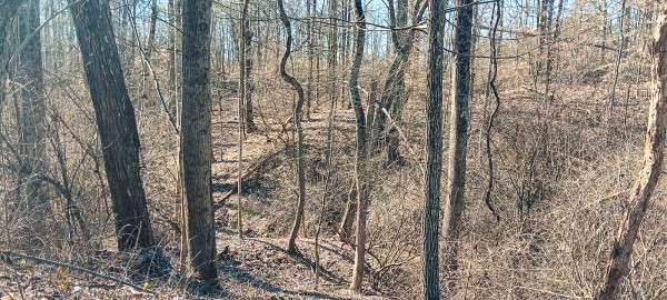 Tract 3 at Turkey Run property photo