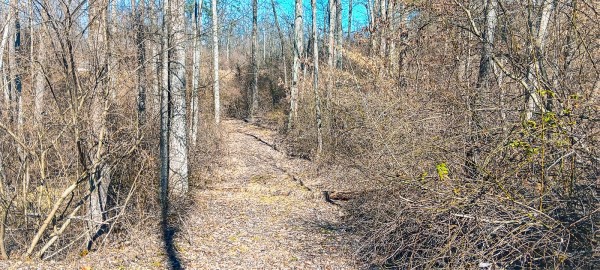 Tract 3 at Turkey Run property photo