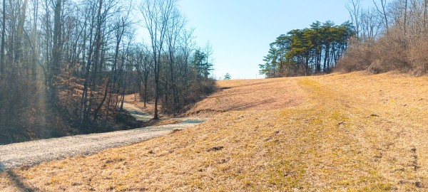 More of Tract 3 at Turkey Run