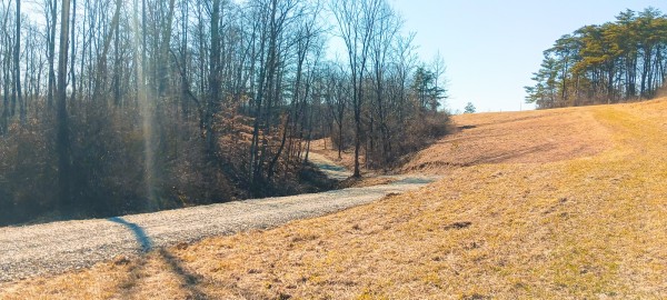 More of Tract 3 at Turkey Run