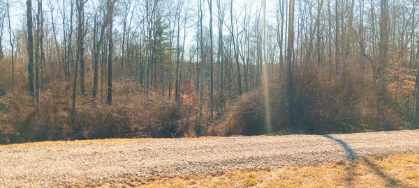 More of Tract 3 at Turkey Run