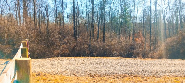 More of Tract 3 at Turkey Run